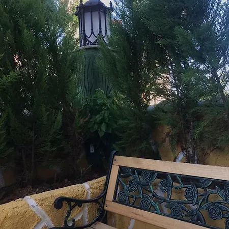 Gulsah Belek